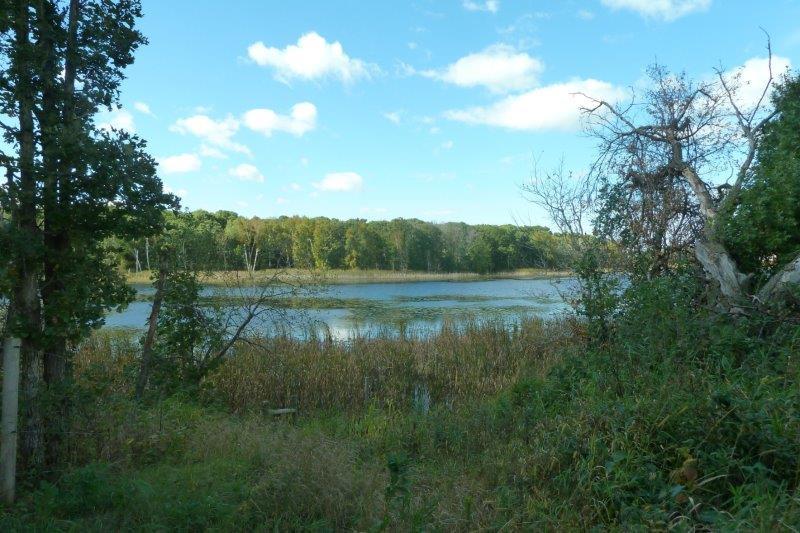 40 Acres in Palmer Township MN