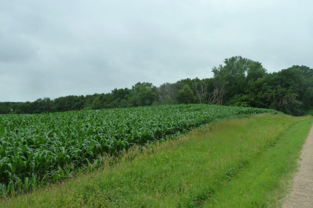 34+ Acres on Indian Lake - 110th St NW Maple Lake MN - Ends 8/9/19 at 7pm CST