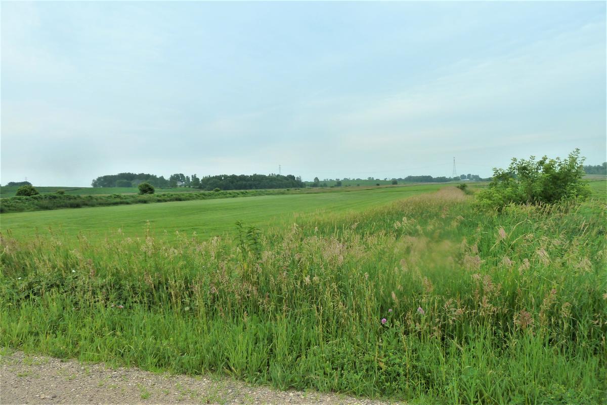 74.2 Acres in Annandale