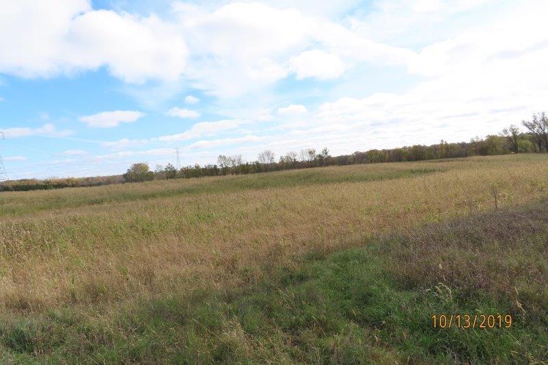 30 Acres in Kingston Township