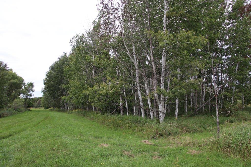 64+ Acres - xxx County Road 6, Waite Park MN 56387