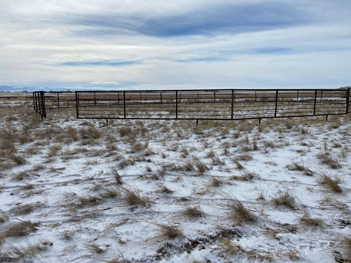 Portable cattle corral/ 9 24' sections / 1 panel with swinging gate