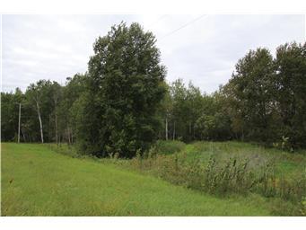 64+ Acres - xxx County Road 6, Waite Park MN 56387