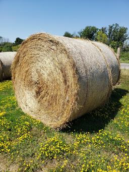 Hay Round Bales