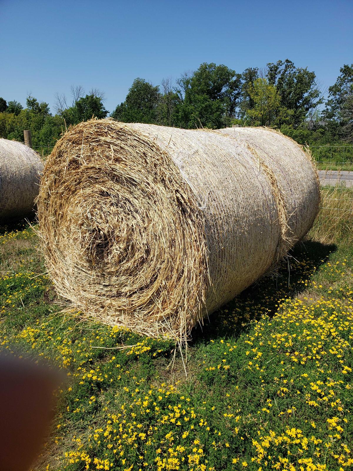 Hay Round Bales