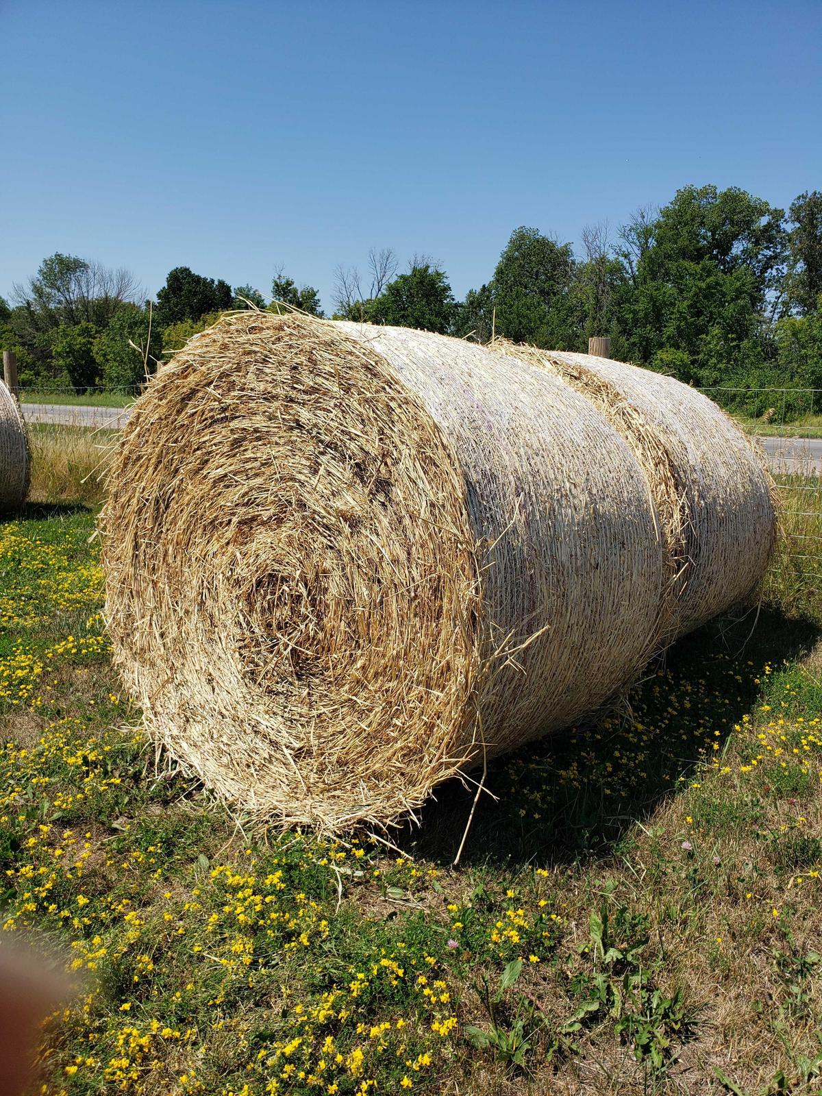 Hay Round Bales