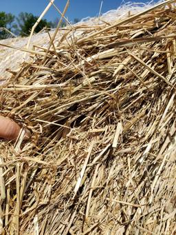 Hay Round Bales