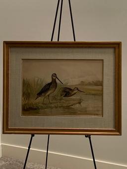 Snipe by A. Pope Sr. framed and matted