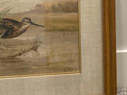 Snipe by A. Pope Sr. framed and matted