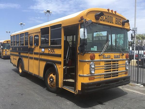 1985 BLUEBIRD ALL AMERICAN