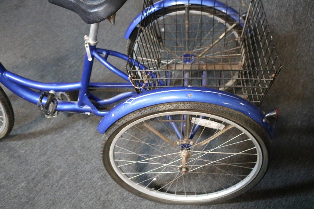 Schwinn Adult Tricycle