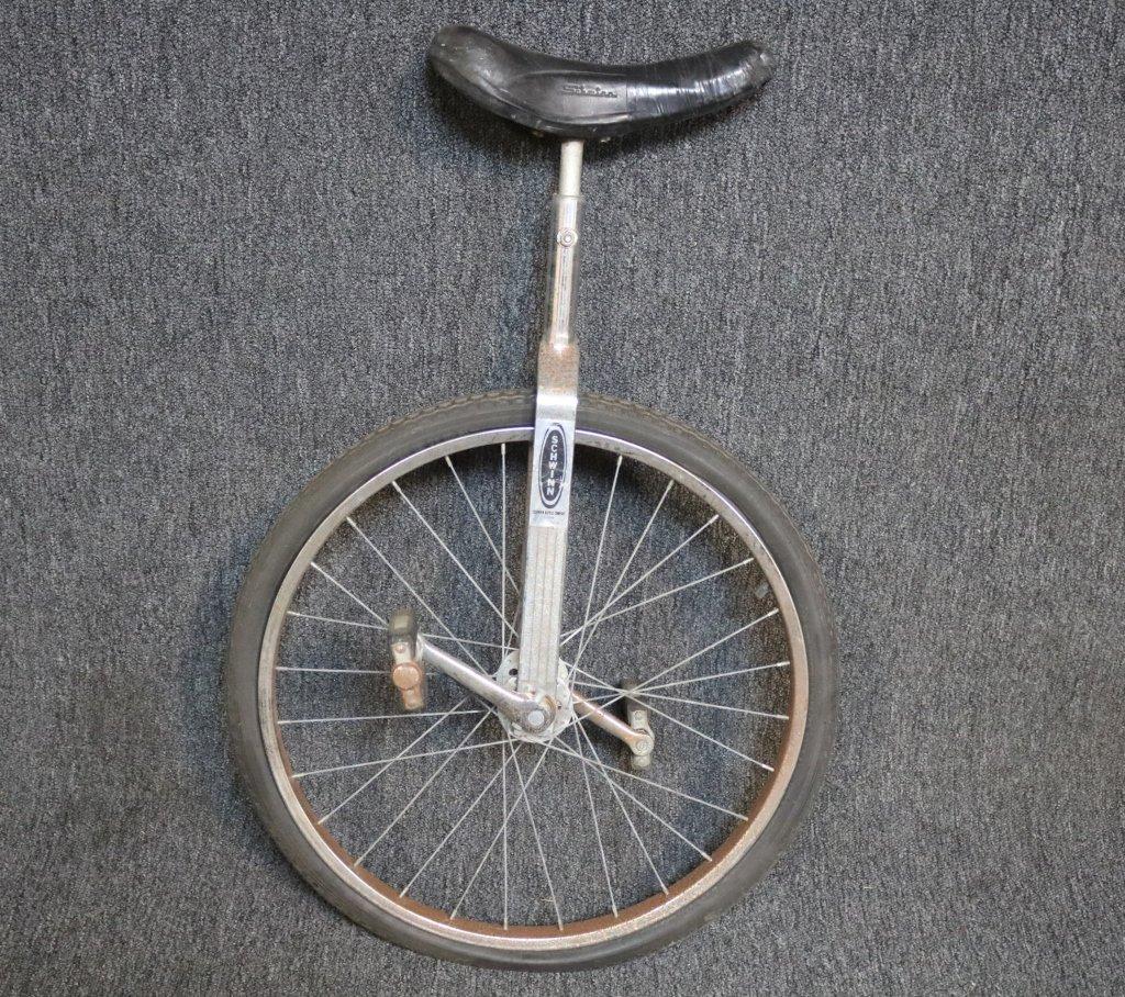 Schwinn 24in Unicycle