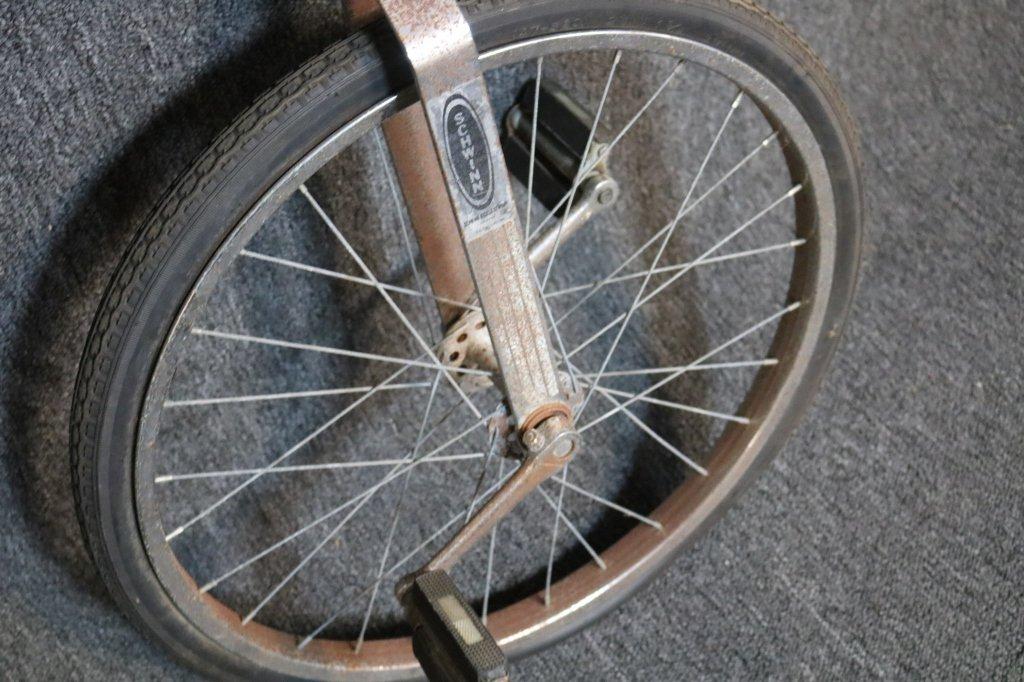 Schwinn 24in Unicycle