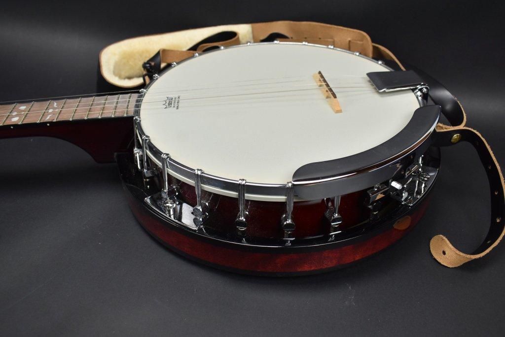 Banjo With Soft Carrying Case