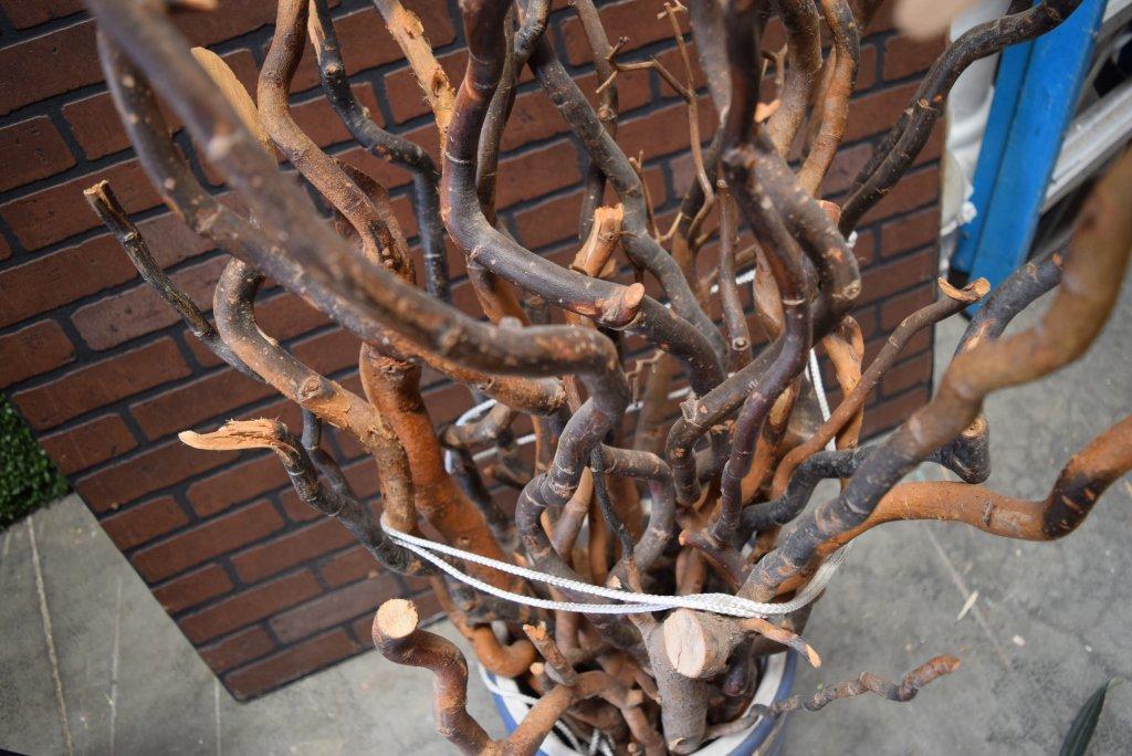 LOT Of Decorative Branches