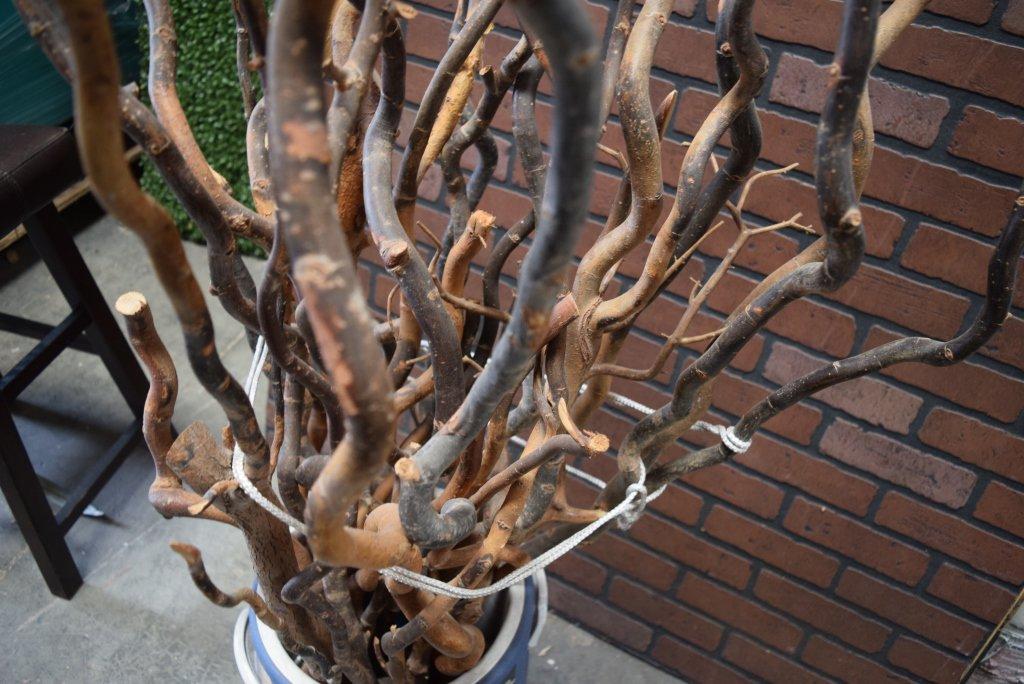 LOT Of Decorative Branches