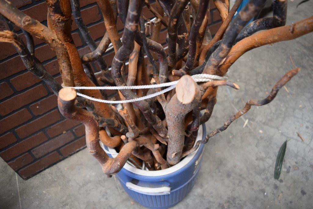 LOT Of Decorative Branches