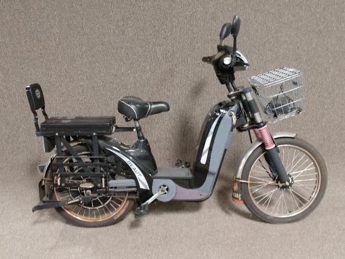 Zhenkaida Beaut Electric Bike