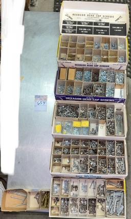 Machine Screws and Display case - Brass Machine Bolts