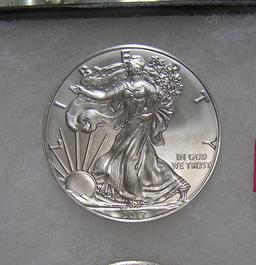 Walking Lady Liberty silver eagle 1 troy ounce coin