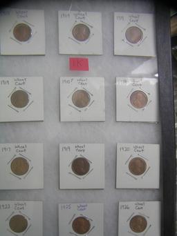 Collection of early Lincoln wheat back pennies