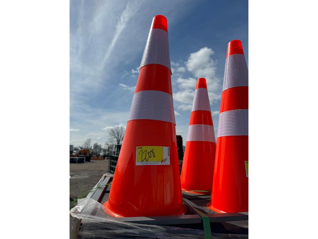 50 Traffic Cones