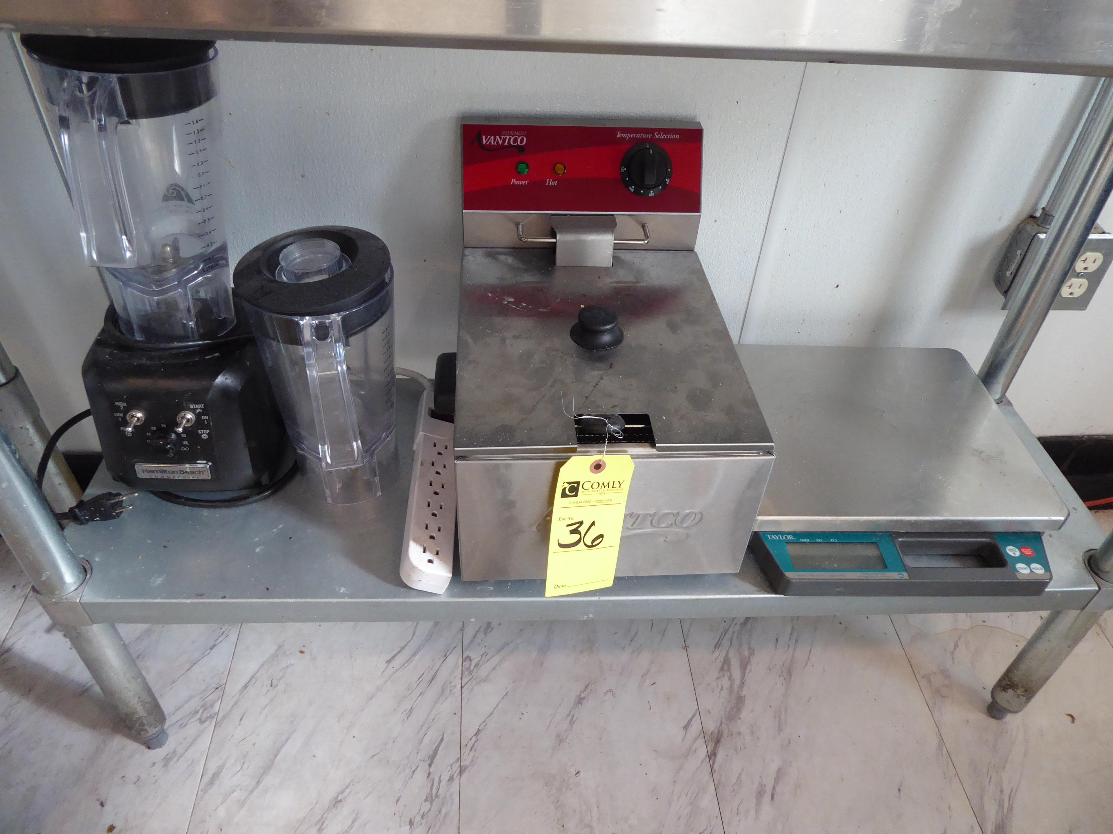 Hamilton Beach Blender, Avantco Fryer, Taylor Scale, Flour Bins, Etc.  (Lot)