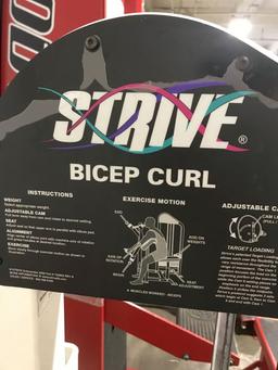 Strive Bicep Curl Machine