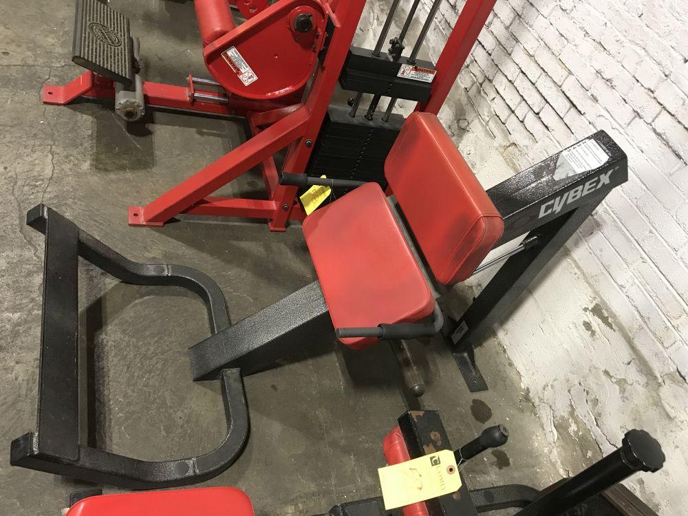 Cybex Squat Press