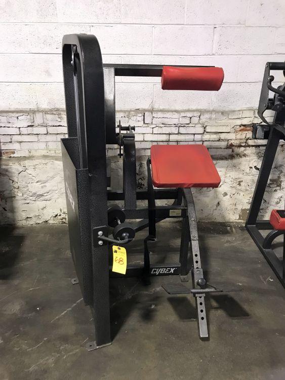 Cybex Back Extension Machine