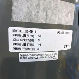 Rheem 75-Gal Commercial Gas Water Heater