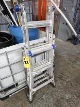 Werner Aluminum Step Ladder