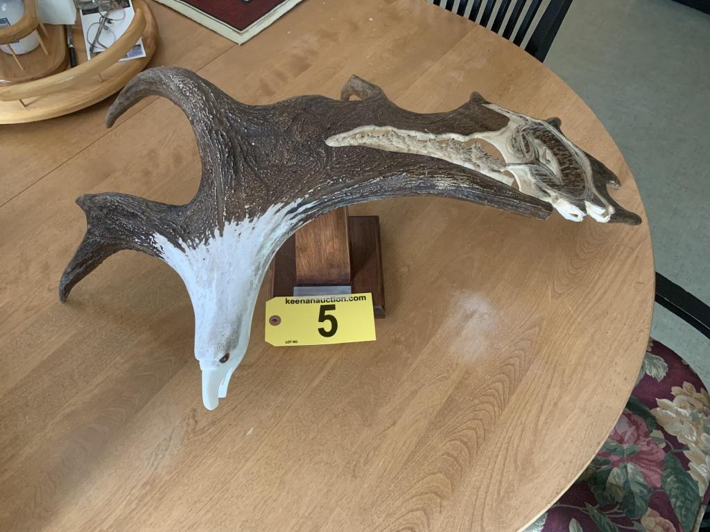 EAGLE & PINE TREE MOOSE ANTLER CARVING