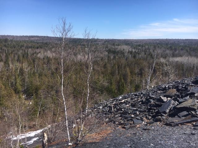 55+/-AC - 500,000+/-Tons Slate Aggregate Woodlands