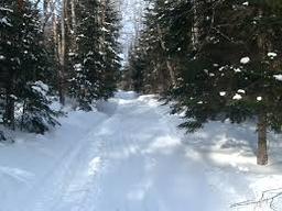 THE BIRCHES WINTER GETAWAY PACKAGE -  XC PASSES, SKI RENTALS, LODGING - $550 VALUE