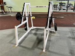 BODY MASTERS SQUAT RACK WITH (23) ASSORTED SIZE BARBELL WEIGHTS