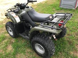 Suzuki Ozark 250 Quad Runner, Green, No Title