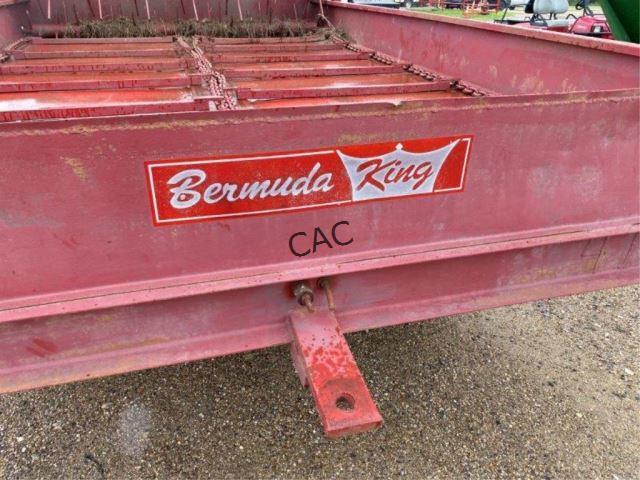 Bermuda King Sprig Planter