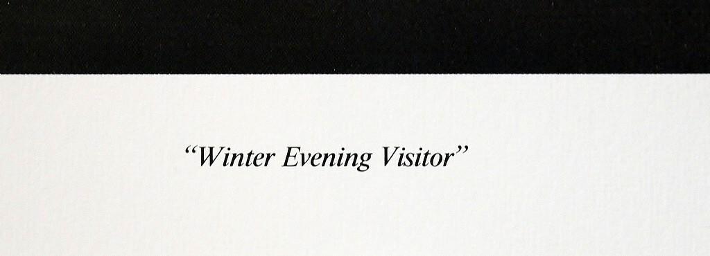 William Perry "Winter Evening Visitor"