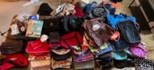 Lot of Purses and Handbags with Rack