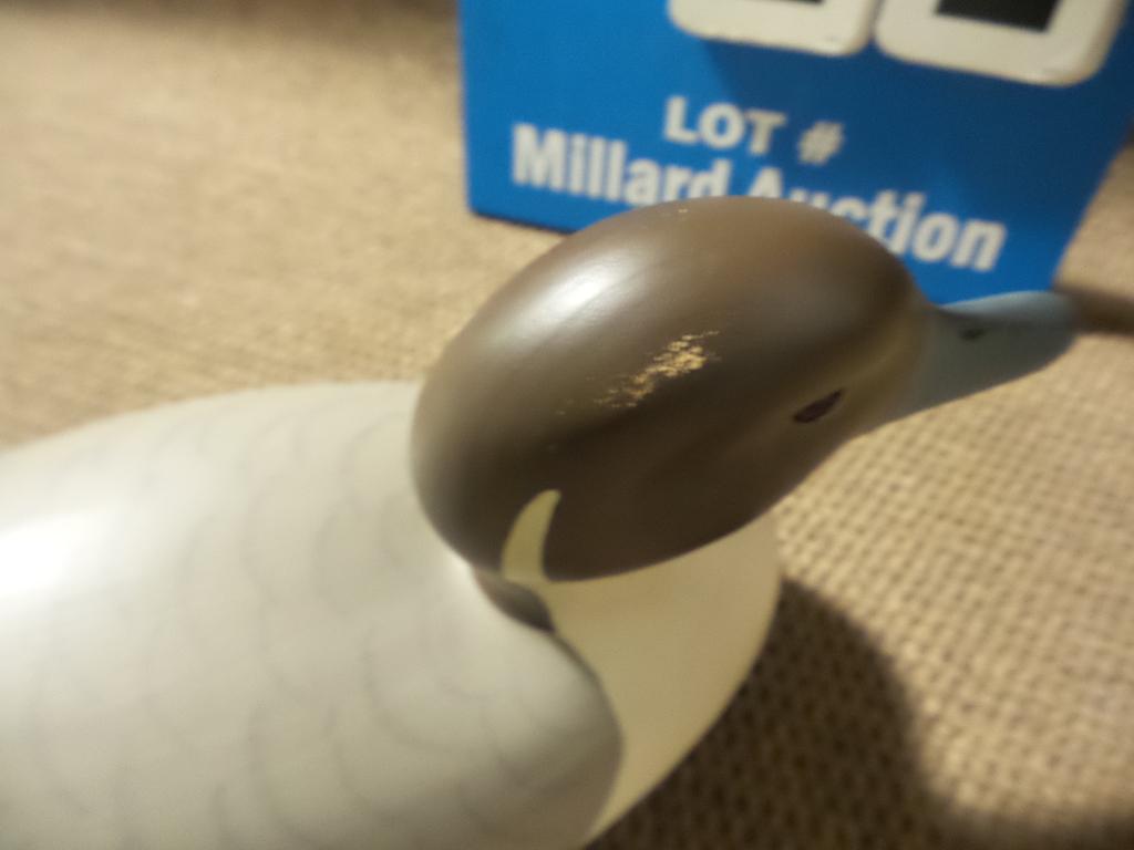 DUCKS UNLIMITED 1998-99 SPECIAL EDITION PINTAIL DUCK DECOY