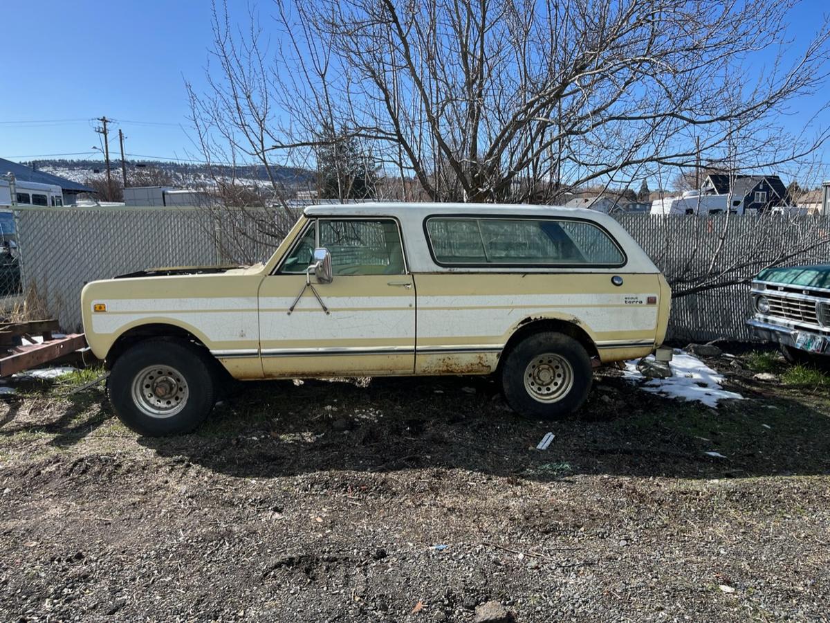 1976 International Scout Terra