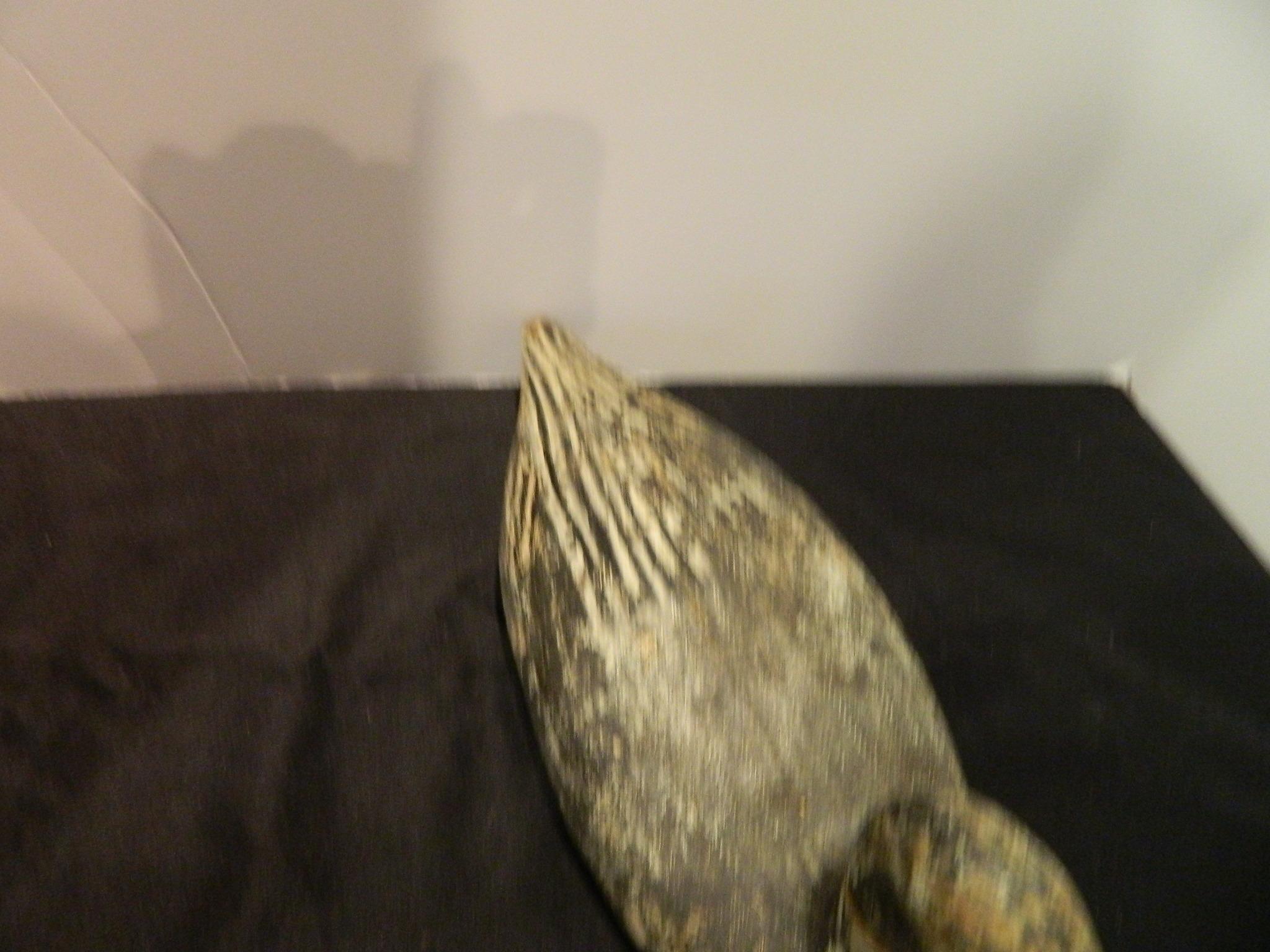 Carved Painted Bluebill Decoy