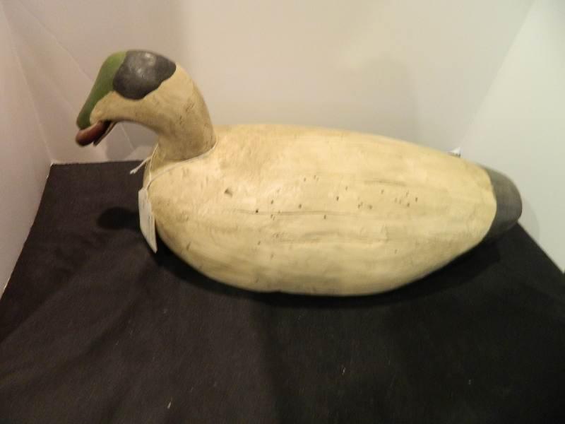 Rare Oversize Scooter Drake Decoy With Mussel