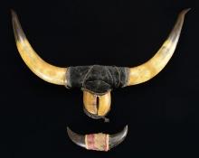 PAIR OF VINTAGE MOUNTED BULL & BISON HORNS.