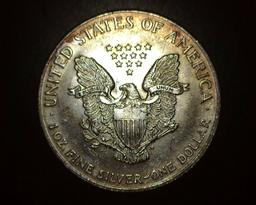 1999 1 oz. Painted Silver American Eagle BU