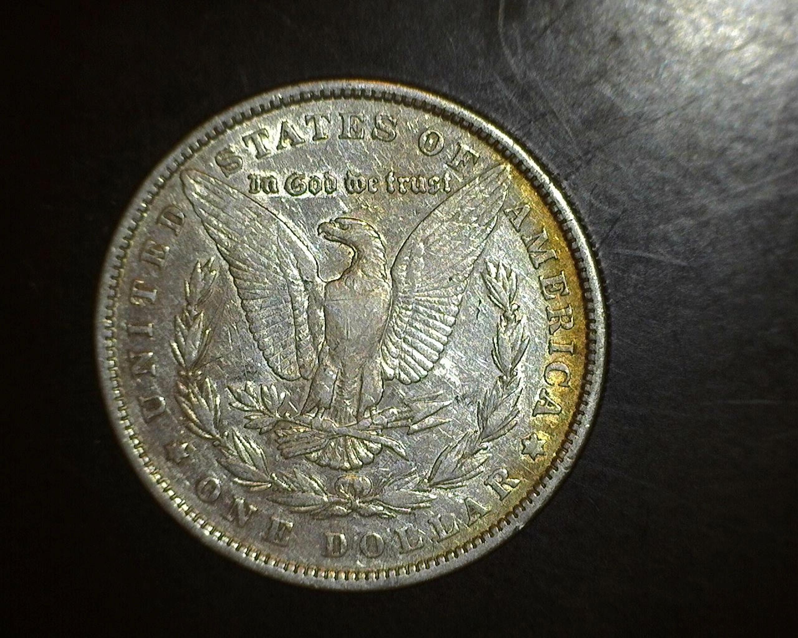 1879  Morgan Dollar