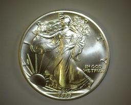 1989 1 oz. American Silver Eagle BU