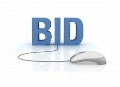 Helpful Bidding Information