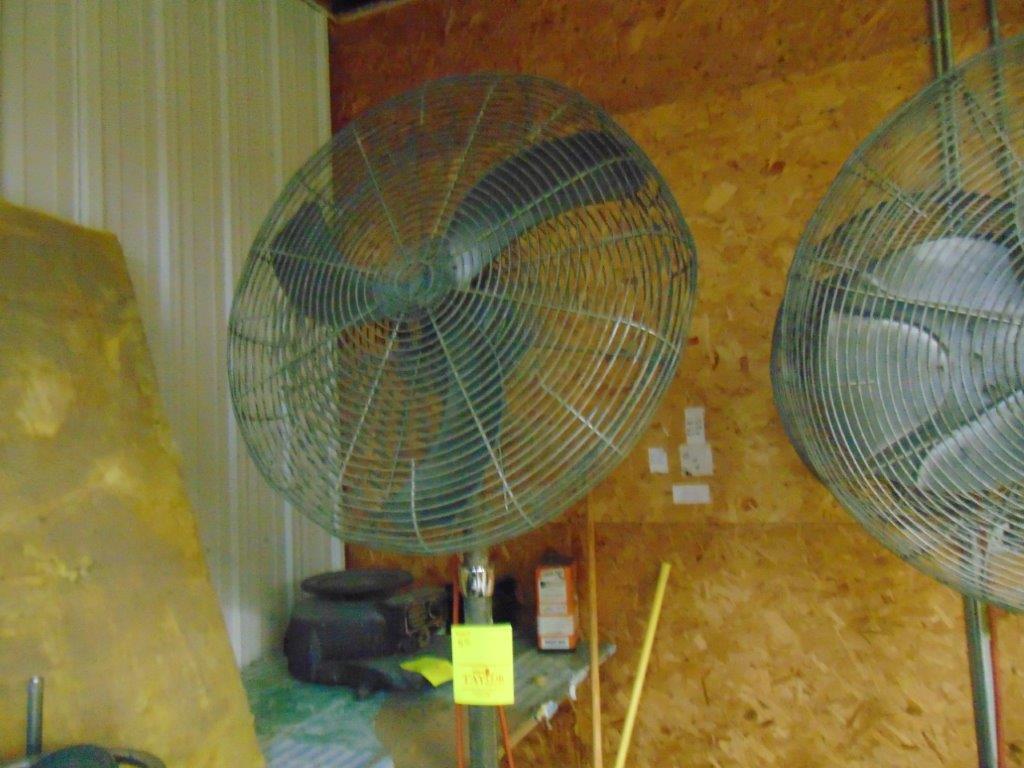 Fan